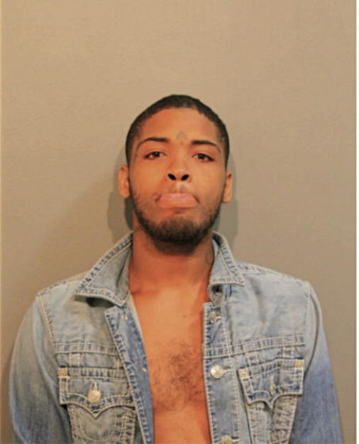 ELIJAH J DAVIS, Cook County, Illinois