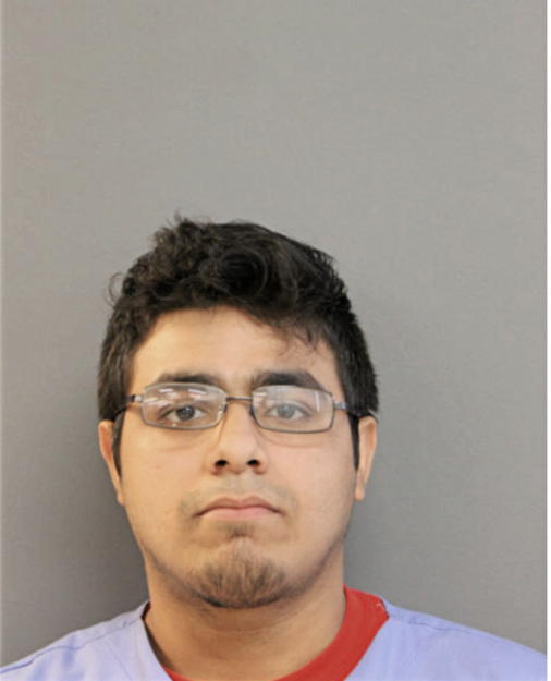 RICHARD G DELEON, Cook County, Illinois