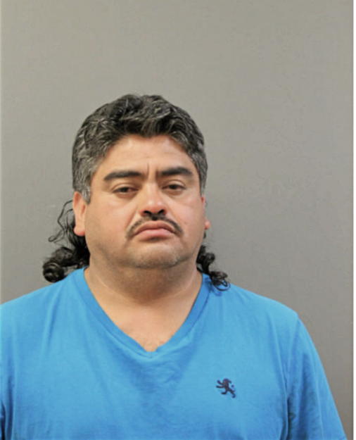 MARIN ESTRADA, Cook County, Illinois