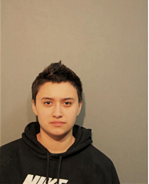 DESTINY AMBER FRANKEY VILLALOBOS, Cook County, Illinois