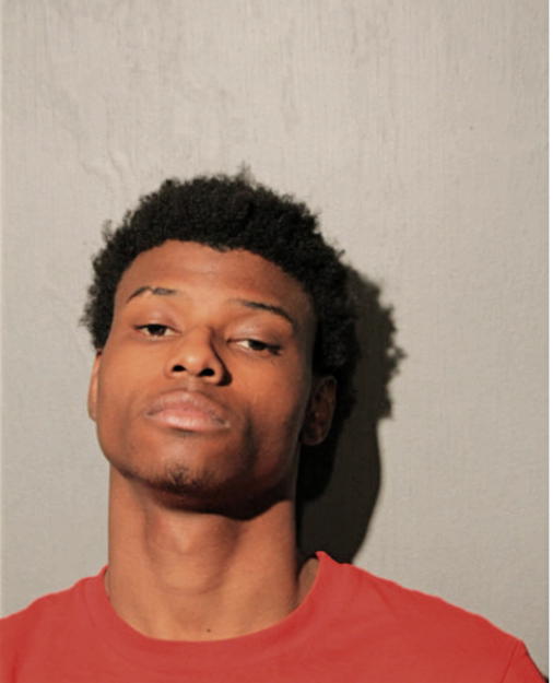 JOSHUA T HAMPTON, Cook County, Illinois