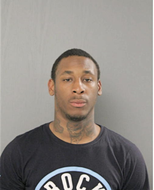 NIKO H HINES, Cook County, Illinois