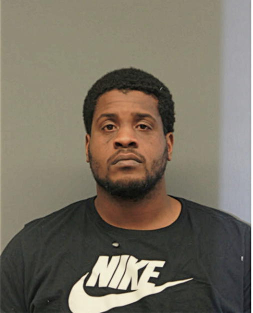 MICHAEL W JOHNSON, Cook County, Illinois