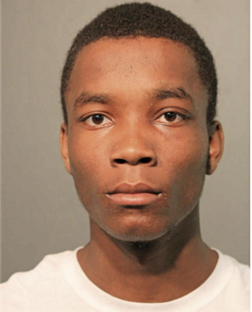 TONY D LEE, Cook County, Illinois