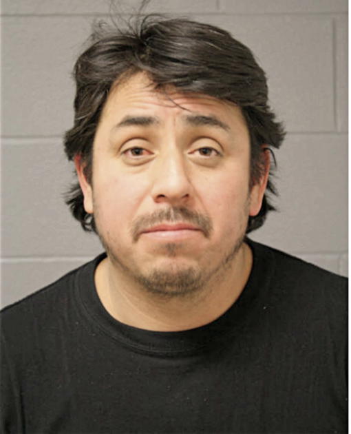 CARLOS G LUNA-SOTO, Cook County, Illinois