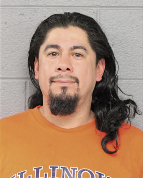 RICARDO MAGANA, Cook County, Illinois