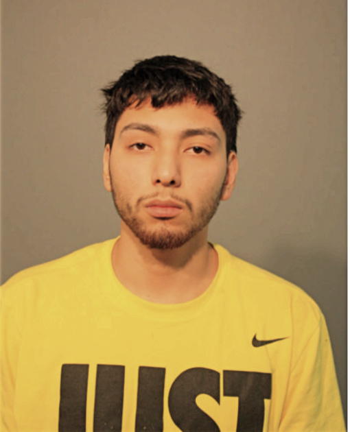 OTTO MALDONADO, Cook County, Illinois
