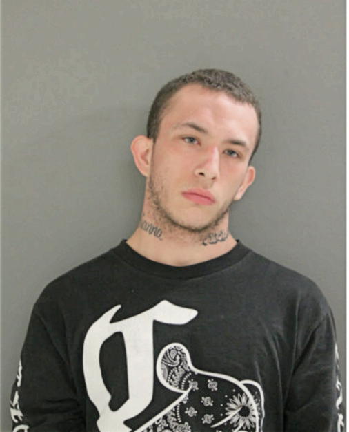 MICHAEL J MAUPIN, Cook County, Illinois