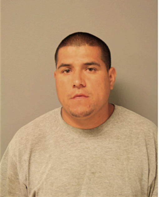 JULIO PEREZ, Cook County, Illinois