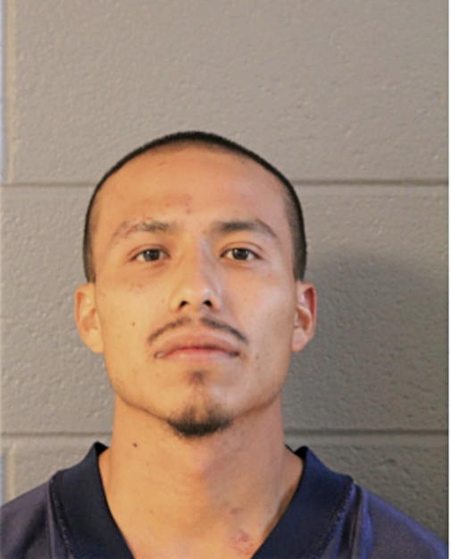DAVID PINA, Cook County, Illinois