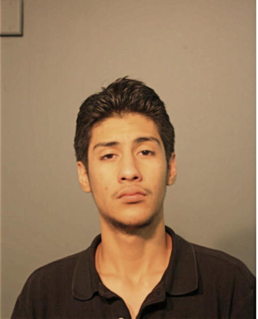 IRVIN ROMAN, Cook County, Illinois