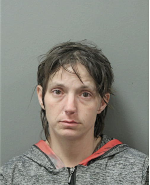 ANDREA C SHIFLETT, Cook County, Illinois