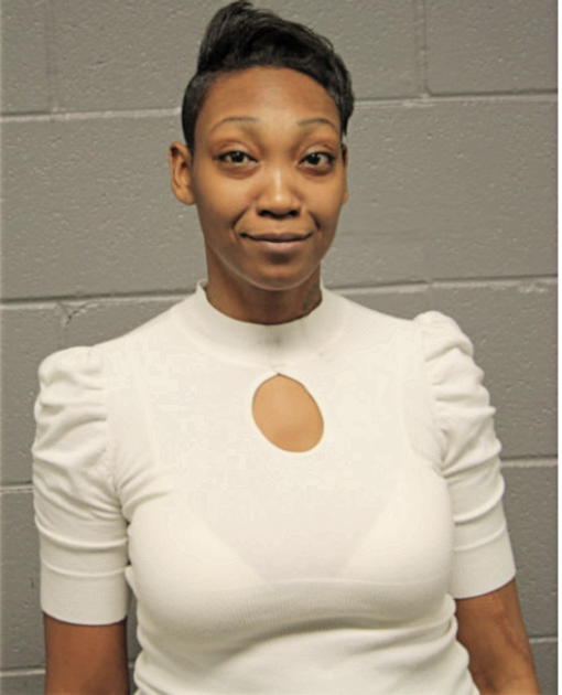 DENISE J SMITH, Cook County, Illinois