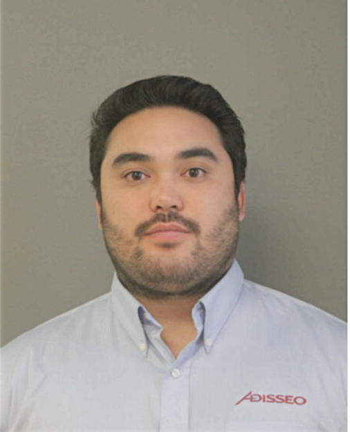 ALEXANDER A STARIHA, Cook County, Illinois