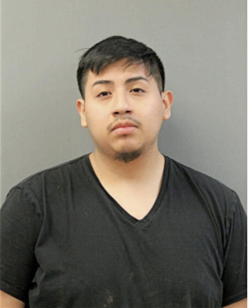 BRIAN TOAPANTA-LEMA, Cook County, Illinois