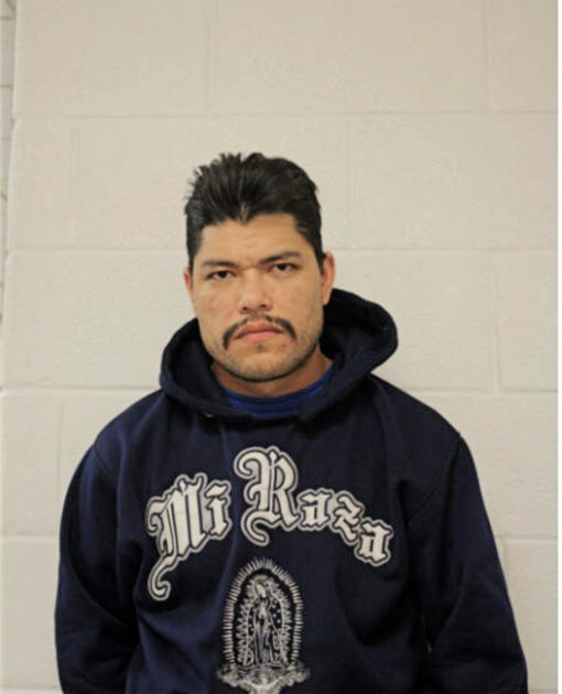 JUAN C TORRES, Cook County, Illinois