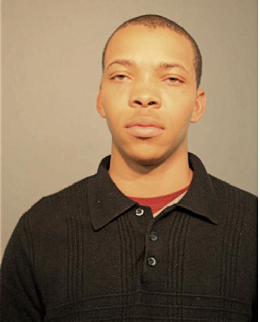 JOSHUA P TYLER, Cook County, Illinois
