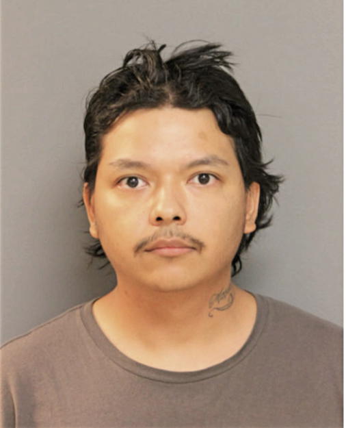 LEONARDO JOAQUIN VILLARREAL, Cook County, Illinois