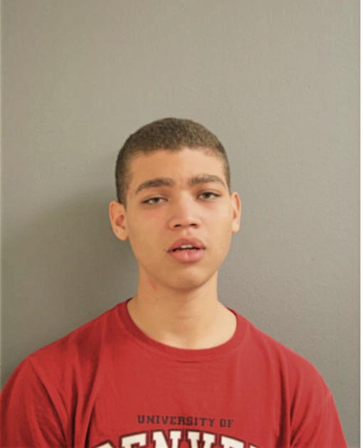 ETHAN C WALLS, Cook County, Illinois