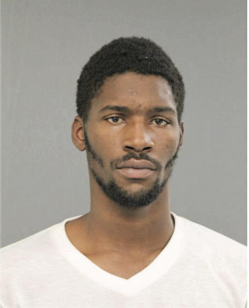 CHRISTOPHER J WILLIAMS, Cook County, Illinois