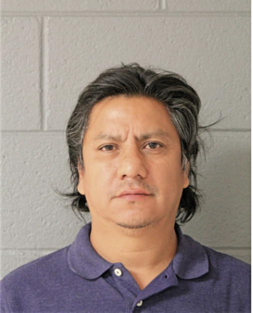 LUIS ALLENDE, Cook County, Illinois