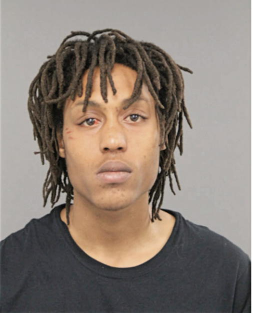 RONNIE S ALVES, Cook County, Illinois