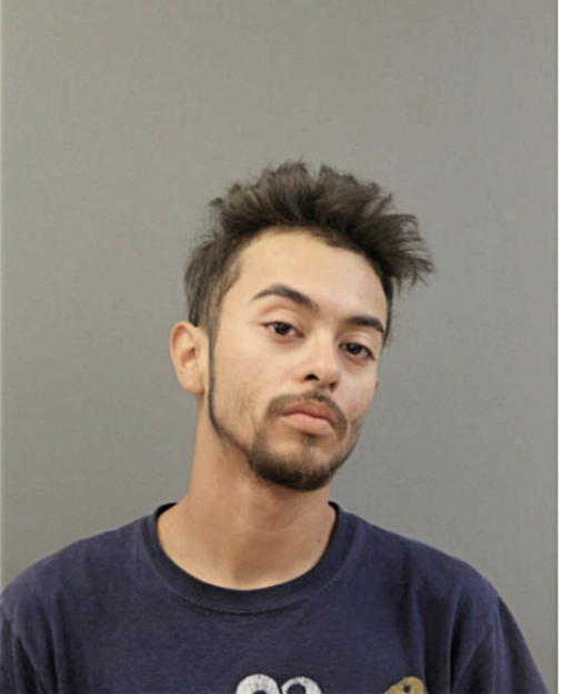 SAUL AVILES, Cook County, Illinois