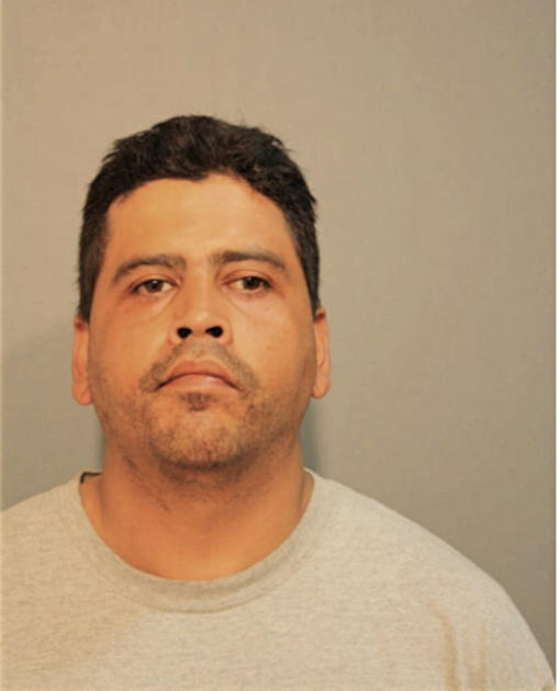 LUIS A COBOS, Cook County, Illinois