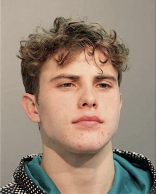 JAMES A DAVIS, Cook County, Illinois