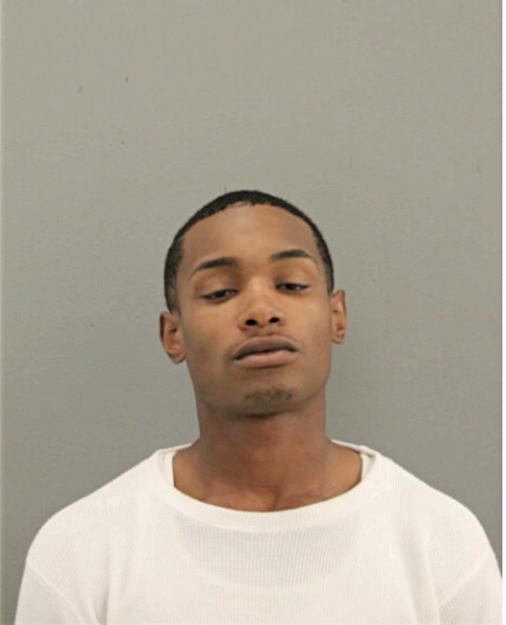 KERRY J DAVIS, Cook County, Illinois