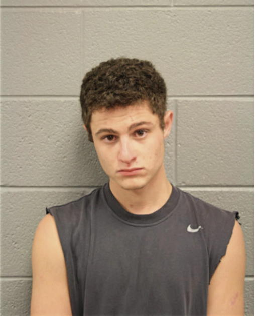 GIANVITO V DE BENEDICTIS, Cook County, Illinois