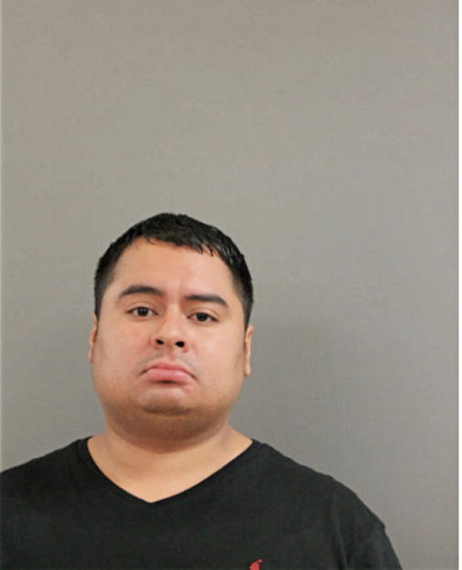 JOSE ESTRADA, Cook County, Illinois