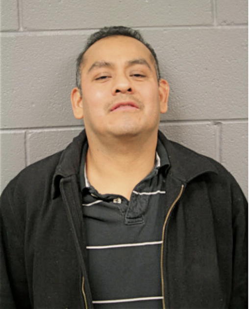 GORGONIO FLORES, Cook County, Illinois