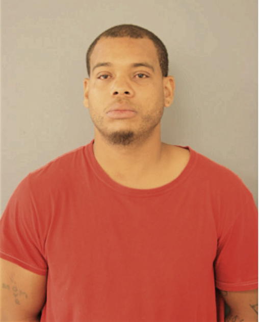 DAVID J FREEMAN, Cook County, Illinois