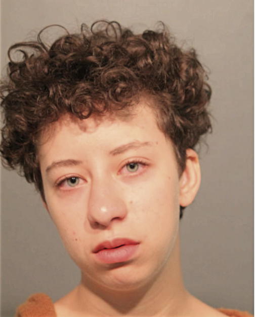 ERIN ELIZABETH GEIS-MILLER, Cook County, Illinois