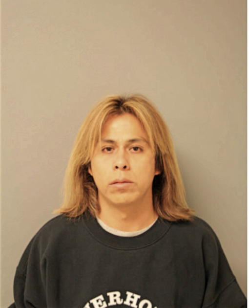 LUIS GOMEZ, Cook County, Illinois