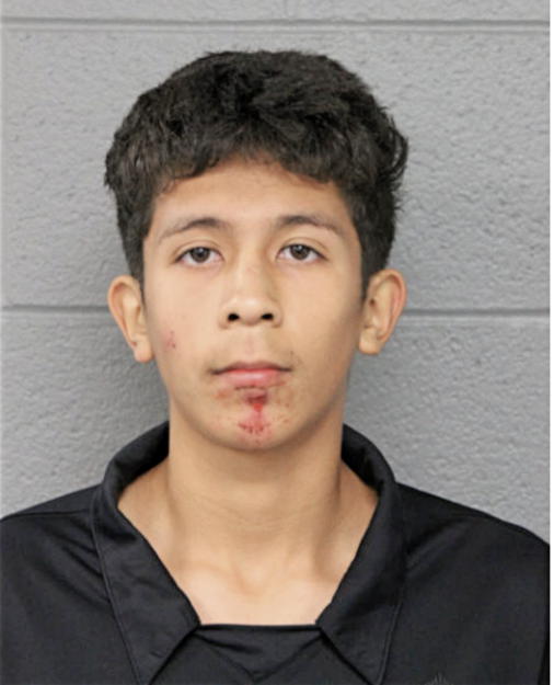 VICTOR T HERMOSILLO, Cook County, Illinois