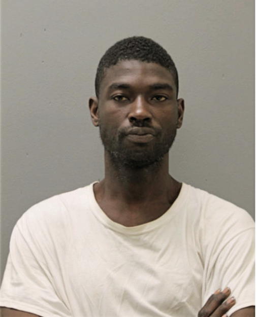 LARON T HOLT, Cook County, Illinois