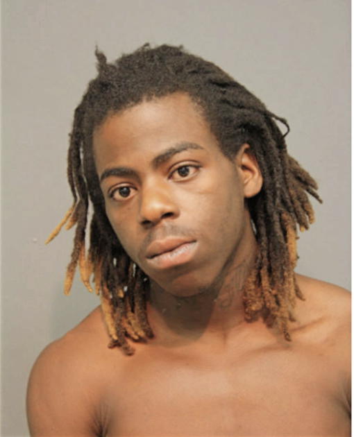 BRIAN D KING, Cook County, Illinois