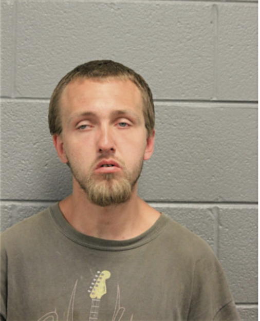 STEVEN A LEESON, Cook County, Illinois