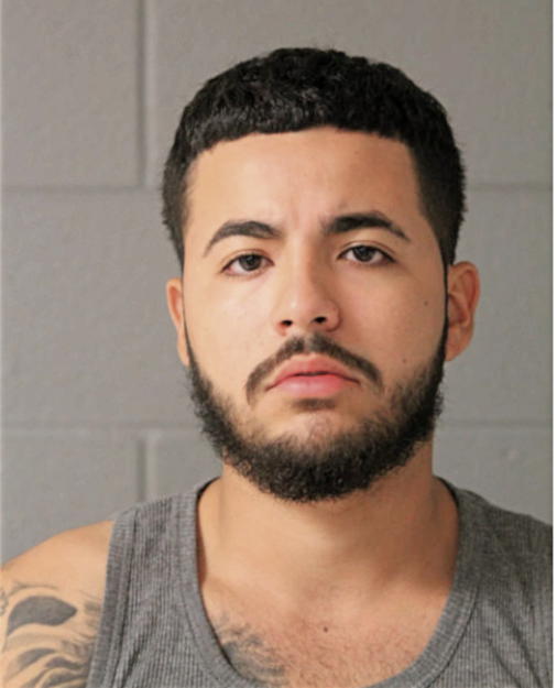 GUADALUPE M MARTINEZ, Cook County, Illinois