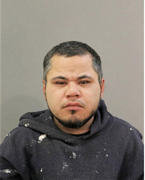 LUIS M OCAMPO, Cook County, Illinois