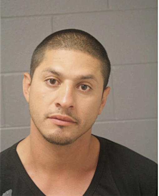 MARIO ORTEGA, Cook County, Illinois