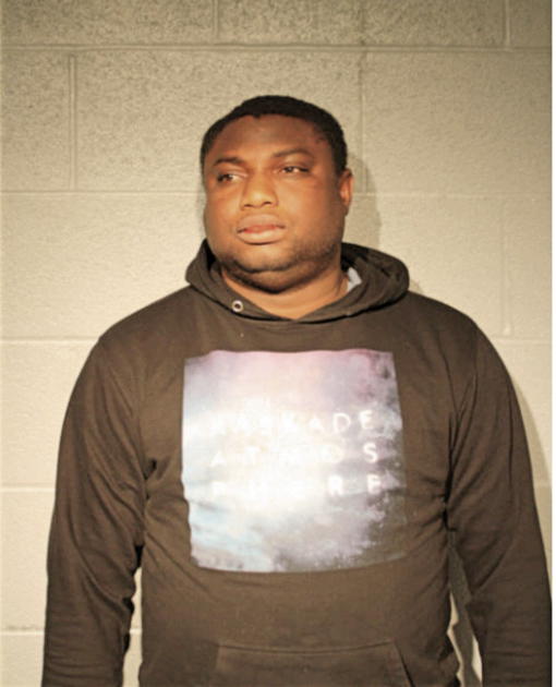OMONIYI O OWOEYE, Cook County, Illinois