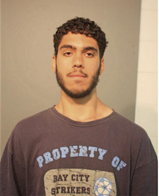 DANIEL JULIAN RIVLIN, Cook County, Illinois