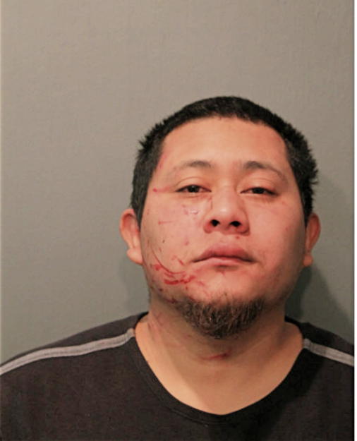 AUDIEL TOLENTINO, Cook County, Illinois