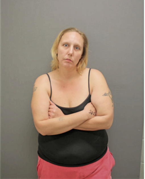 BRIANNA R VANDERWATER, Cook County, Illinois
