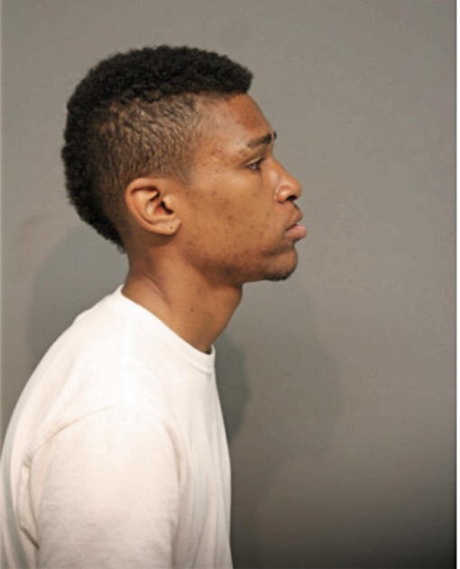 DIMITRI S WATSON, Cook County, Illinois