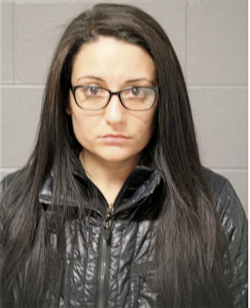 NICOLE C WORTH, Cook County, Illinois