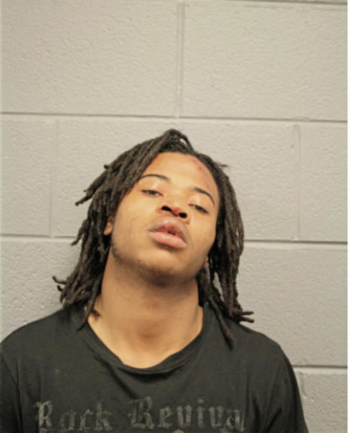 CHRISTOPHER P YOUNG, Cook County, Illinois